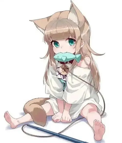 西檬之家字母圈的大圈到底包含哪些互动与实践? 一