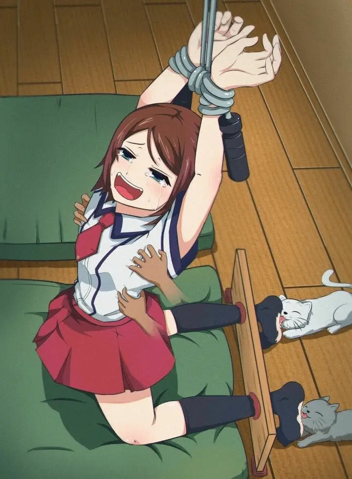 西檬之家s倾向的心理解析与体验指南 一