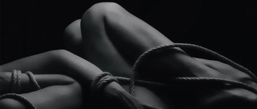 西檬之家k9是什么?深入解读字母圈中的K9文化 一