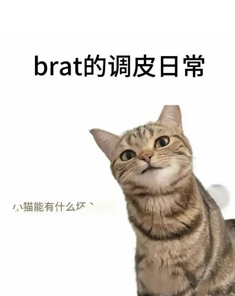 西檬之家ds关系是什么? 一