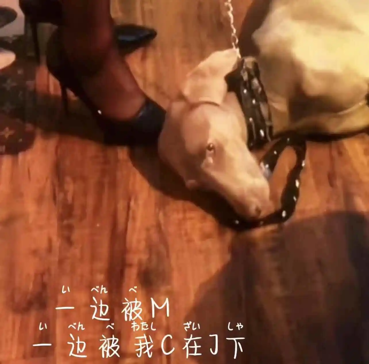 西檬之家字母圈的恋物癖是什么意思? 一