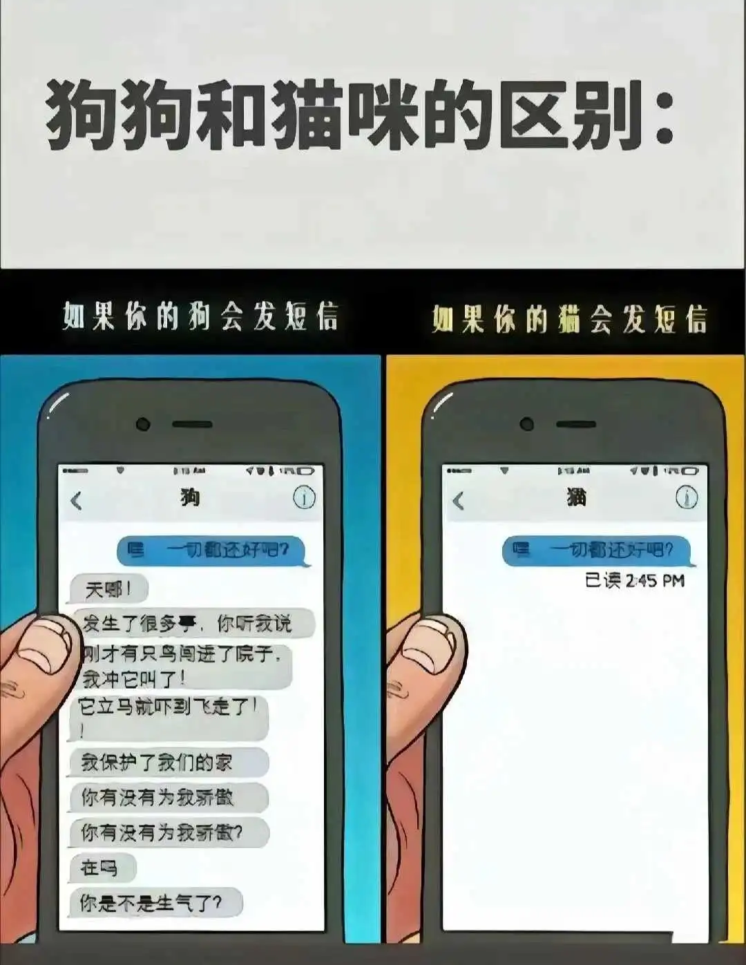 西檬之家字母圈管教是什么意思?新人必读 一