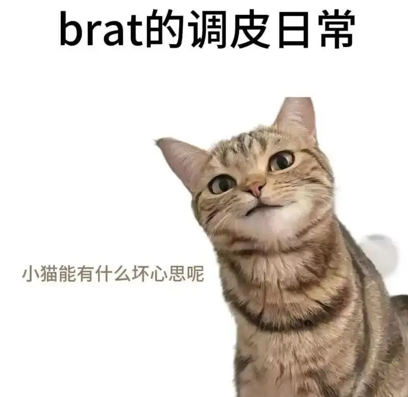 西檬之家字母圈中的圣水是什么意思? 一