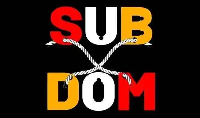西檬之家字母圈Dom是什么意思?新人入圈指南 一