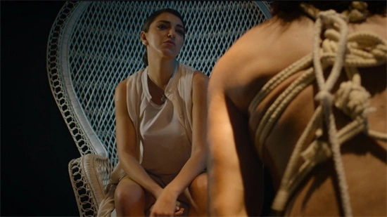 西檬之家k8是什么?字母圈猫奴入门指南 一
