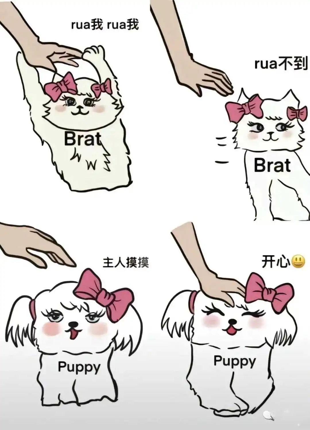 西檬之家字母圈Sp是什么意思? 一