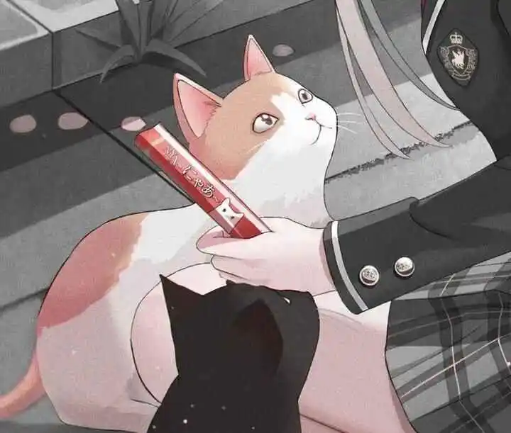 西檬之家M倾向是什么? 一