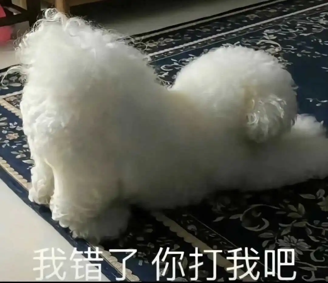 西檬之家字母圈的恋足癖是什么意思? 一